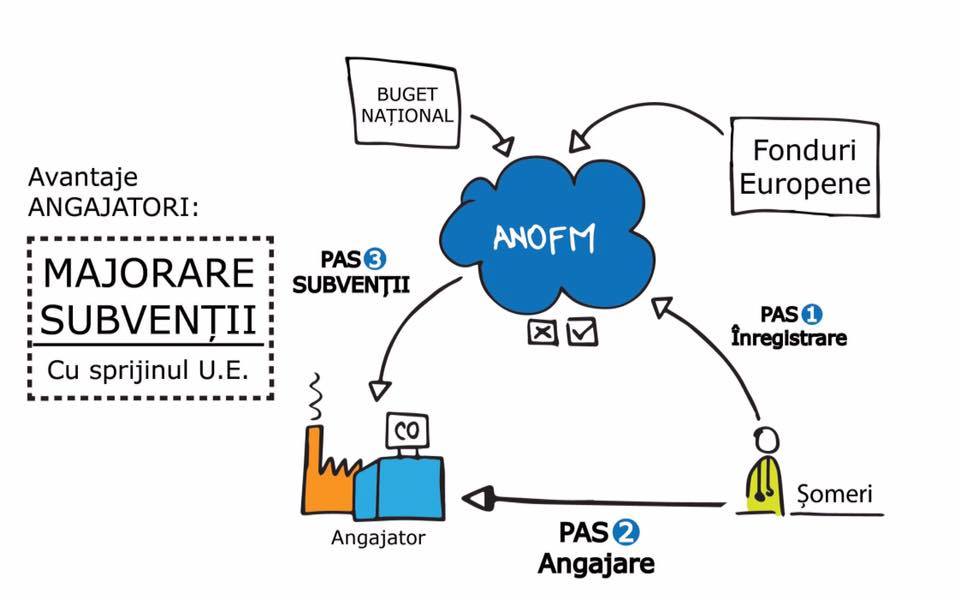 Stimulare pe piata fortei de munca Contabil Brasov